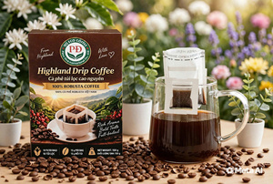 Bolsas de Café de Goteo de Vietnam - Café Robusta 15g por bolsa 10 bolsas por caja Uso Hotelero OEM/ODM Disponible Empaque Personalizado - Product Image 4