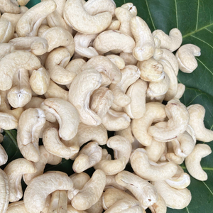 เม็ดมะม่วงหิมพานต์ราคาถูก ลดราคาพิเศษ WW180, WW240, WW320, LP เม็ดมะม่วงหิมพานต์ดิบ ผู้ซื้อมะม่วงหิมพานต์ รับตัดขนาดตามสั่ง - Product Image 1