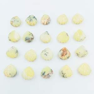 Perles de coquillage sculptées en forme de citron, 2 pièces, perles en vrac pour la fabrication de bijoux, fournisseur en gros - Product Image 5