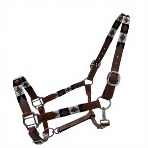 Cabestro de Cuero para Caballo con Diseño Polo y Hebilla de Alta Calidad, Cabestro de Cuero Personalizado, Accesorios de Moda para Caballos - Product Image 1