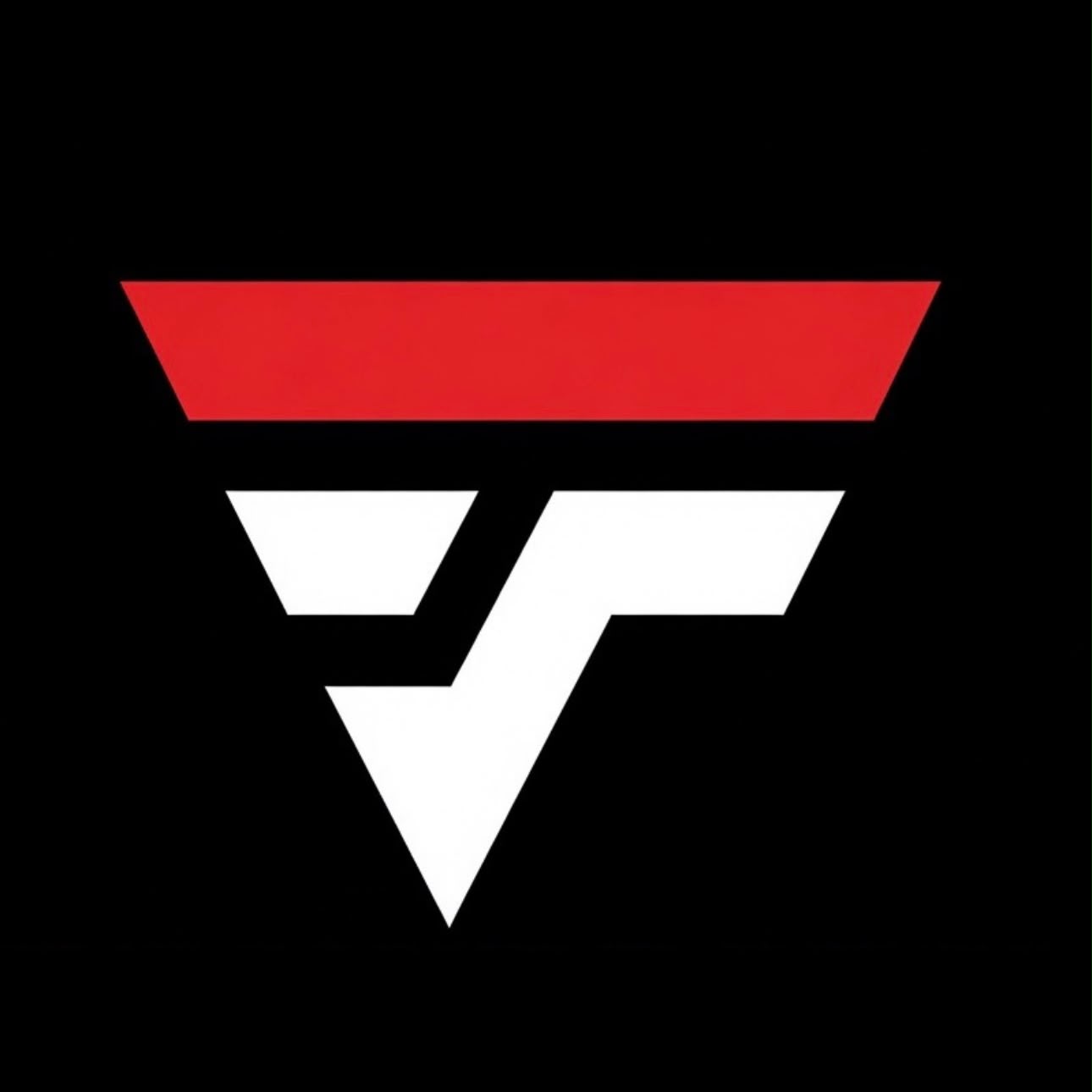 FARANGI IMPEX logo