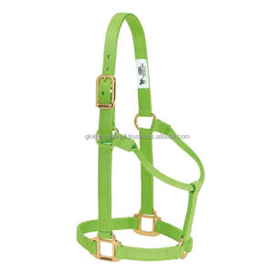 Harnais pour cheval en nylon de haute qualité, coloré, durable, avec des accessoires en laiton ou en acier inoxydable, style moderne. - Product Image 4