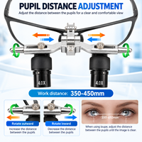 Kacamata Pembesar Bedah Gigi Mincin 350-450mm Dengan Lampu 4X/5X/6X 48 ° Lup Kacamata Gigi