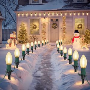 Luci Natalizie a LED C9 da 9 Metri, 20 Lampadine, per Esterni, Luce Bianca Calda, Impermeabili e Collegabili, per Illuminazione Vialetti - Product Image 1