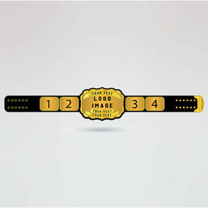 Ceinture de championnat de lutte personnalisée, quatre plaques latérales, plaque centrale dorée, plaques de qualité supérieure de 4 mm d'épaisseur - Design de logo personnalisé Aigle - Product Image 1