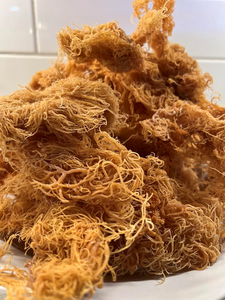 100% naturel algues Seamoss Eucheuma Cottonii avec sel séché mousse de mer de qualité supérieure origine Vietnam - Product Image 2