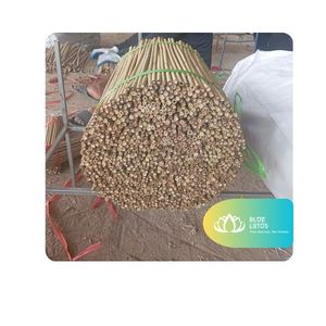 Estacas Modernas de Bambú Natural para Plantas, Varillas de Soporte Verdes para Tomates, Flores, Enredaderas, Plantas de Interior y Exterior - Product Image 1