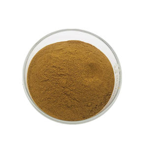 Proteína hidrolizada de avellana en polvo - Product Image 1