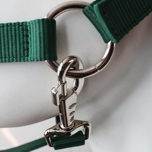 Cabestro de Cuero Impermeable para Caballo, Último Diseño, Precio Económico, Venta al Por Mayor - Product Image 4