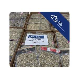 Anchoas secas disponibles para sopas y caldos, ingrediente de marisco utilizado en cocinas de restaurantes y para la elaboración de alimentos en Vietnam. - Product Image 1