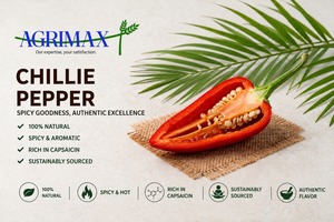 Rich Flavor <b>Chilli</b> Pepper Natural Food Grade Spice for Global Culinary and Beverage Applications - Product Image 1