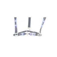 Accessoire élégant d'entraînement de cheval Style fantaisie Cheval brodé en cuir corde licou