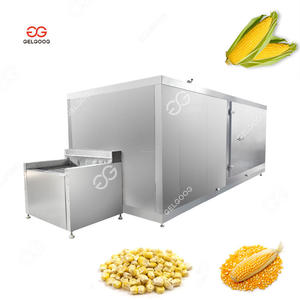 Línea de Procesamiento de Vegetales Congelados con Nitrógeno Líquido de 750 kg para Congelación Comercial de Brócoli y Maíz Dulce - Product Image 3