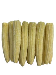 Maíz Congelado Al Por Mayor De Vietnam Naturalmente Dulce Y Tierno Ideal Para Cocinar Sopas Ensaladas Y Comidas Preparadas - Product Image 3