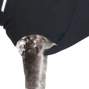 Abrigos para Perros con Cuello Redondo, Ajuste Regular, Fáciles de Usar, de Alta Calidad, MOQ Bajo, Chaquetas Hechas de Poliéster y Nailon - Product Image 4