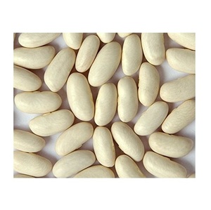 ถั่วขาวคุณภาพดี ขายดี ถั่วขาวแห้งเพื่อสุขภาพ - Product Image 3