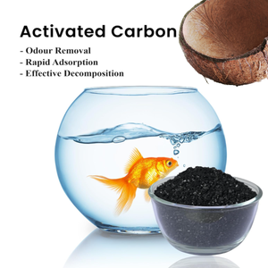 1000 Mg/g Coconut Shell Activated Carbon 8x16/6x12 Mesh 99% Purity Factory Supply 20*40mesh Coconut Shell Based Granular - Product Image 3