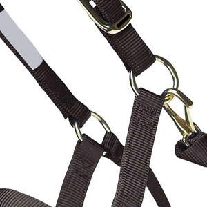 Cabestro para Caballo de Alta Calidad, Cómodo, Transpirable, de Secado Rápido y Fácil de Usar, en Tendencia y con las Mejores Ventas - Product Image 5