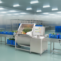 Automatische kantelbare ultrasone ozonwasmachine voor groenten, fruit en vlees (kool, sla etc.)
