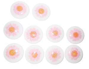 Flor de margarita de Snowland, espécimen real en cabujón de plástico redondo de 38x38 mm, base plana blanca para manualidades y fabricación de joyas - Product Image 3