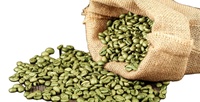 Chicchi di Caffè Robusta Verde di Prima Qualità Grado 1 S16, S18 - Naturale di Alta Qualità dal Vietnam, Miglior Prezzo Pronto per l'Esportazione