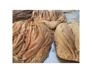 แพ็คสุญญากาศ IQF ที่มีคาเฟอีนสำหรับตลาดส่งออกทั่วโลกได้รับการรับรองว่าเป็นลางวันเค็มแห้งฮาลาลแช่แข็ง - Product Image 1