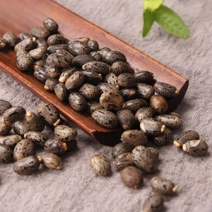 Semillas de Ricino Secas Naturales de Grado Alimenticio, Origen India TZ453G, 25 kg, 3 Años de Vida Útil, Suministro a Granel para Procesamiento - Product Image 5