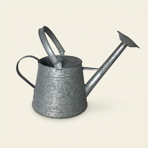 Eco-Friendly Vintage Galvanized Steel Watering Can With Long Spout Rustic Decorative Iron Water <b>Cane</b> for Farmhouse <b>Garden</b> Decor - Product Image 5