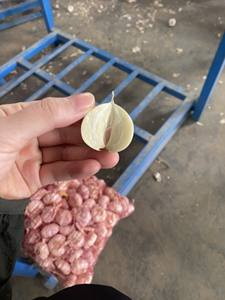 2025 Nuevo Cultivo de ajo blanco puro, producto agrícola fresco de alta calidad, listo para exportar (+ 84 36 680 8683) - Product Image 4