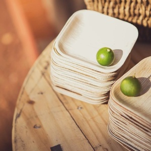 Areca Palm Leaf 7 Inches Square <b>Disposable</b> <b>Plates</b> Sustainable Choice for Restaurant Food Service <b>Plates</b> for Corporate Event Use - Product Image 1