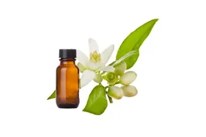 Aceite Esencial de Neroli de Primera Calidad, Útil para Tratar Granos y Acné, Aceite Esencial de Proveedor Indio - Product Image 4