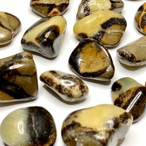 Pierres Roulées Septariennes Naturelles, Cristal de Guérison Poli, Style Amour, Écologiques, 2-3cm, pour Décoration Maison, Mariage, Énergie Reiki - Product Image 5