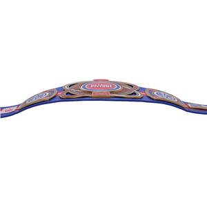 เข็มขัดแชมป์แบบดั้งเดิม แผ่นโลหะผสมสังกะสีขนาด 2 มม./4 มม. สำหรับผู้ใหญ่ ใช้สำหรับกีฬามวยปล้ำ MMA ยูโด มวย สามารถปรับแต่งสีและโลโก้ได้ - Product Image 5