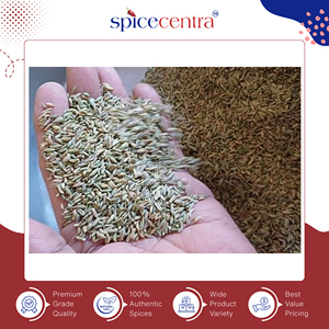<b>Custom</b> Logo Size Design Possible High Quality Spicecentra Brand Raw Dried Whole Fennel Seeds Singapore 2025 India Origin - Product Image 4
