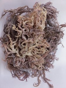 Alga Marina Vietnamita a Granel, Superalimento para Dietas Veganas y Smoothies, Exportación a Estados Unidos y Europa - Product Image 3