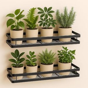 Support mural pour plantes en fer noir thermolaqué, moderne, suspendu, vertical, avec finition résistante à la rouille - Product Image 1