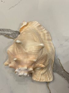 วัสดุงานฝีมือรักษ์โลกธรรมชาติข้อมูลเปลือกหอยสีทอง99ชิ้นสำหรับวางเทียนจานสบู่และของตกแต่งทำด้วยมือที่สร้างสรรค์ในเวียดนาม - Product Image 2