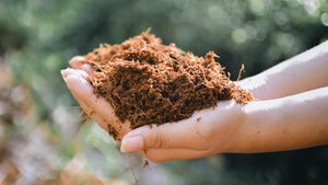 Poudre de coco peat à faible teneur en EC pour l'horticulture - Vente en gros OEM disponible pour les acheteurs de coco peat en Inde - Product Image 2