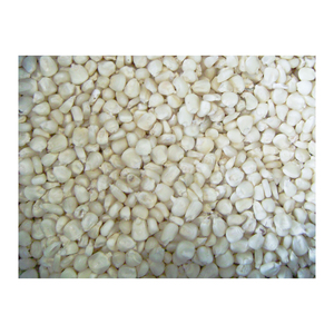 ข้าวโพดขาว GMO จำนวนมากสำหรับอาหารสัตว์และการแปรรูปอาหารอุตสาหกรรม - Product Image 6