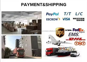 Sweat-shirts à capuche en coton 100% de qualité supérieure 420 g/m², imprimés en relief, pour hommes, survêtements, streetwear personnalisé, sweats à capuche Spider - Product Image 2