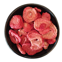 Gefreeze-droogde aardbeienplakjes, voedingskwaliteit, puur natuurlijk, India export