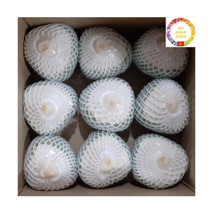 Noix de coco fraîche |   Capuchon à ouverture facile |   Boisson Pratique |   Idéal pour une utilisation en extérieur et à la plage |   Produits en vrac du Vietnam - Product Image 1