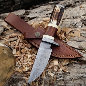Cuchillo de Caza de Acero de Damasco A&M Enterprises, Mango de Asta de Ciervo, Hoja Fija con Punta Caída, 8 Pulgadas, Cuchillo de Supervivencia para Exteriores - Product Image 1