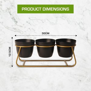 Macetero de Metal Contemporáneo con Soporte de Hierro, Maceta Elevada Decorativa para Plantas de Interior, Hogar Moderno - Product Image 2