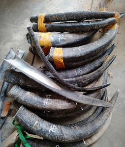 Mango de cuerno de búfalo de alta calidad, gran oferta, tamaño personalizado, calidad estándar, precio bajo, mango de cuchillo de cuerno con tamaño personalizado - Product Image 5