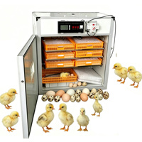 Incubateur solaire entièrement automatique pour œufs de poulet, caille, canard, oie, 220V, 528 œufs, machine d'incubation solaire