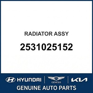 Nouveaux radiateurs Accent 2531025152 - Product Image 1