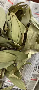 Hoja de Laurel India (Tejpata) Cinnamomum Tamal Especias Enteras - Sabor a Canela Suave Ampliamente Utilizado en la Cocina India para un Aroma Distintivo - Product Image 4