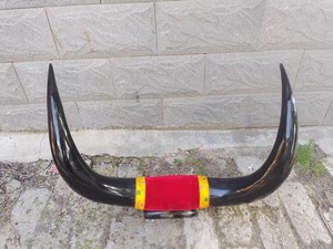 Auténticas Cuernas de Toro Reales, Par de Cuernos Texidermizados, Hechos a Mano, Pulidos, Acabado Orgánico, Ecológicos, Forma Natural Clásica - Product Image 2