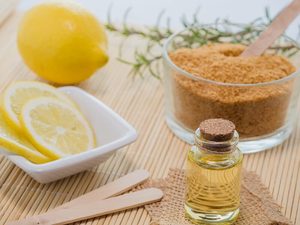 BEST SELLER Poudre de Zeste de Citron du Delta du Vietnam 99% Pure 10kg Approvisionnement en Vrac Favorise la Digestion Mode de Vie Sain Aliment Naturel - Product Image 2